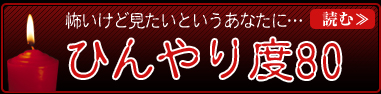 怖いけど見たいあなたに…　ひんやり度80　読む≫