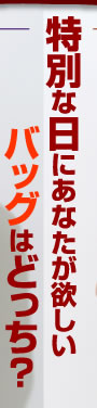 特別な日にあなたが欲しいバッグはどっち？