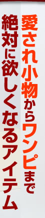 愛され小物からワンピまで絶対に欲しくなるアイテム