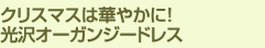 クリスマスは華やかに！光沢オーガンジードレス