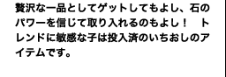 贅沢な一品としてゲットしてもよし、石のパワー
を信じて取り入れるのもよし！　
トレンドに敏感な人なら投入済みの、イチ押しアイテムです。