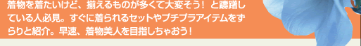 着物を着たいけど、揃えるものが多くて大変そう！ 
と躊躇している人必見。すぐに着られるセット
やプチプラアイテムをずらりと紹介。
早速、着物美人を目指しちゃおう！