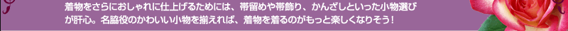 着物をさらにおしゃれに仕上げるためには、
帯留めや帯飾り、かんざしといった小物選びが肝心。
名脇役のかわいい小物を揃えれば、着物を着るのがもっと楽しくなりそう！