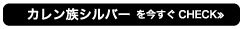 カレン族シルバーを今すぐCHECK≫