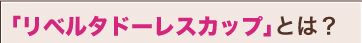 リベルタドーレスカップとは？