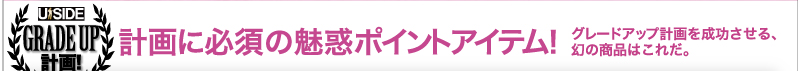 計画に必須の魅惑ポイントアイテム！　グレードアップ計画を成功させる、幻の商品はこれだ。