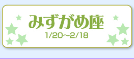 みずがめ座