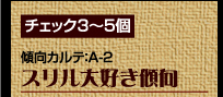 チェック3〜5個　傾向カルテ：A-2　スリル大好き傾向