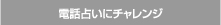 電話占いにチャレンジ