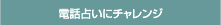 電話占いにチャレンジ