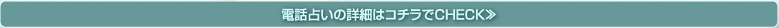 電話占いの詳細はコチラでCHECK≫