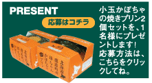 小玉かぼちゃの焼きプリン2個セットを、1名様にプレゼントします! 応募方法は、こちらをクリックしてね。