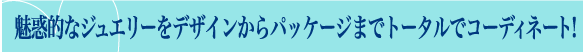 魅惑的なジュエリーをデザインから
パッケージまでトータルでコーディネート！