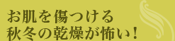 お肌を傷つける秋冬の乾燥が怖い！