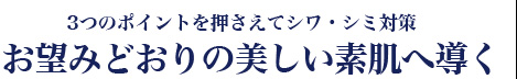 3つのポイントを押さえてシワ・シミ対策 お望みどおりの美しい素肌へ導く