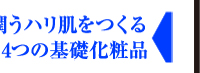 潤うハリ肌をつくる4つの基礎化粧品