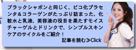 ブラックシャボンと同シリーズで、化粧水と乳液、美容液の役目を果たすモイスチャーゲルと、プラセンタ＆コラーゲンがたっぷり詰まったドリンクで、シンプルスキンケアのサイクルをご紹介！