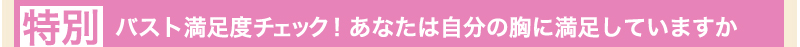 特別付録　バスト満足度チェック！あなたは自分の胸に満足していますか