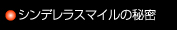 シンデレラスマイルのに秘密