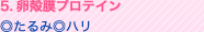 5.卵殻膜プロテイン ◎たるみ ◎ハリ