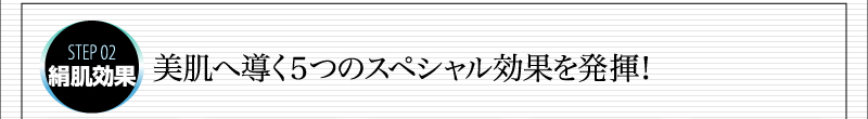 STEP 02絹肌効果　美肌へ導く５つのスペシャル効果を発揮！