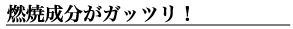 燃焼成分がガッツリ！