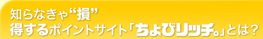 知らなきゃ“損”得するポイントサイト「ちょびリッチ」とは？