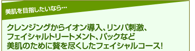 クレンジングからイオン導入、リンパ刺激、フェイシャルトリートメント、パックなど美肌のために贅を尽くしたフェイシャルコース！　