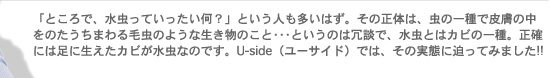 「ところで、水虫っていったい何？」という人も多いはず。その正体は、虫の一種で皮膚の中をのたうちまわる毛虫のような生き物のこと・・・というのは冗談で、水虫とはカビの一種。正確には足に生えたカビが水虫なのです。ユーサイドウーマン-UsideWomanでは、その実態に迫ってみました!!