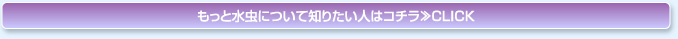 もっと水虫について知りたい人はコチラ≫CLICK