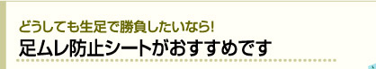 どうしても生足で勝負したいなら！ 足ムレ防止シートがおすすめです