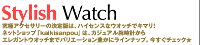 Stylish Watch