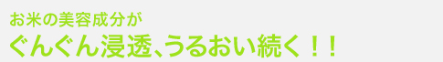お米の美容成分がぐんぐん浸透、うるおい続く!!