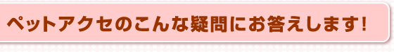ペットアクセのこんな疑問にお答えします!