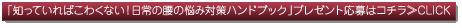 「知っていればこわくない!日常の腰の悩み対策ハンドブック」プレゼント応募はコチラ≫CLICK