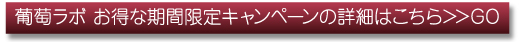 葡萄ラボ お得な期間限定キャンペーンの詳細はこちら≫CLICK