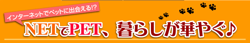 インターネットでペットに出会える!?　NETでPET、暮らしが華やぐ♪