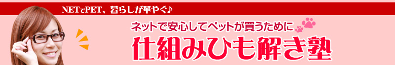 NETでPET、暮らしが華やぐ♪　ネットで安心してペットが買うために　仕組みひも解き塾