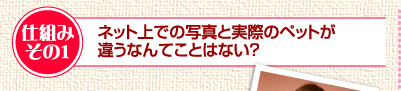 仕組みその1　ネット上での写真と実際のペットが違うなんてことはない？