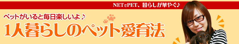 NETでPET、暮らしが華やぐ♪　ペットがいると毎日楽しいよ♪　1人暮らしのペット愛育法