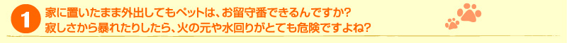 1）家に置いたまま外出してもペットは、お留守番できるんですか？　寂しさから暴れたりしたら、火の元や水回りがとても危険ですよね？