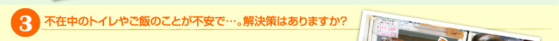 3）不在中のトイレやご飯のことが不安で…。解決策はありますか？