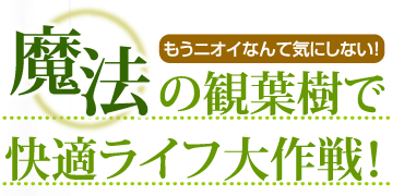 もうニオイなんて気にしない！　魔法の観葉樹で快適ライフ大作戦！