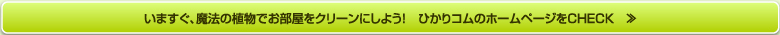 いますぐ、魔法の観葉樹でお部屋をクリーンにしよう！　ひかりコムのホームページをCHECK　≫