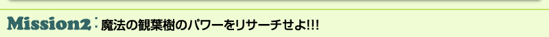 Misson2：魔法の観葉樹のパワーをリサーチせよ!!!