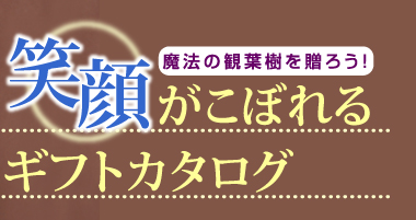 魔法の観葉樹を贈ろう！　笑顔がこぼれるギフトカタログ