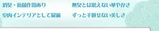 消臭・抗菌作用あり　無臭とは思えない華やかさ　室内インテリアとして最適　ずっと手放せない美しさ