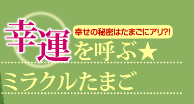 幸せの秘密はたまごにアリ?!　幸運を呼ぶ★ミラクルたまご