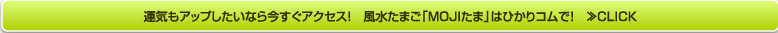 運気もアップしたいなら今すぐアクセス！　風水たまご「MOJIたま」はひかりコムで！　≫CLICK