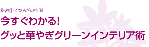 秘密①　くつろぎの空間　　今すぐわかる！グッと華やぎグリーンインテリア術